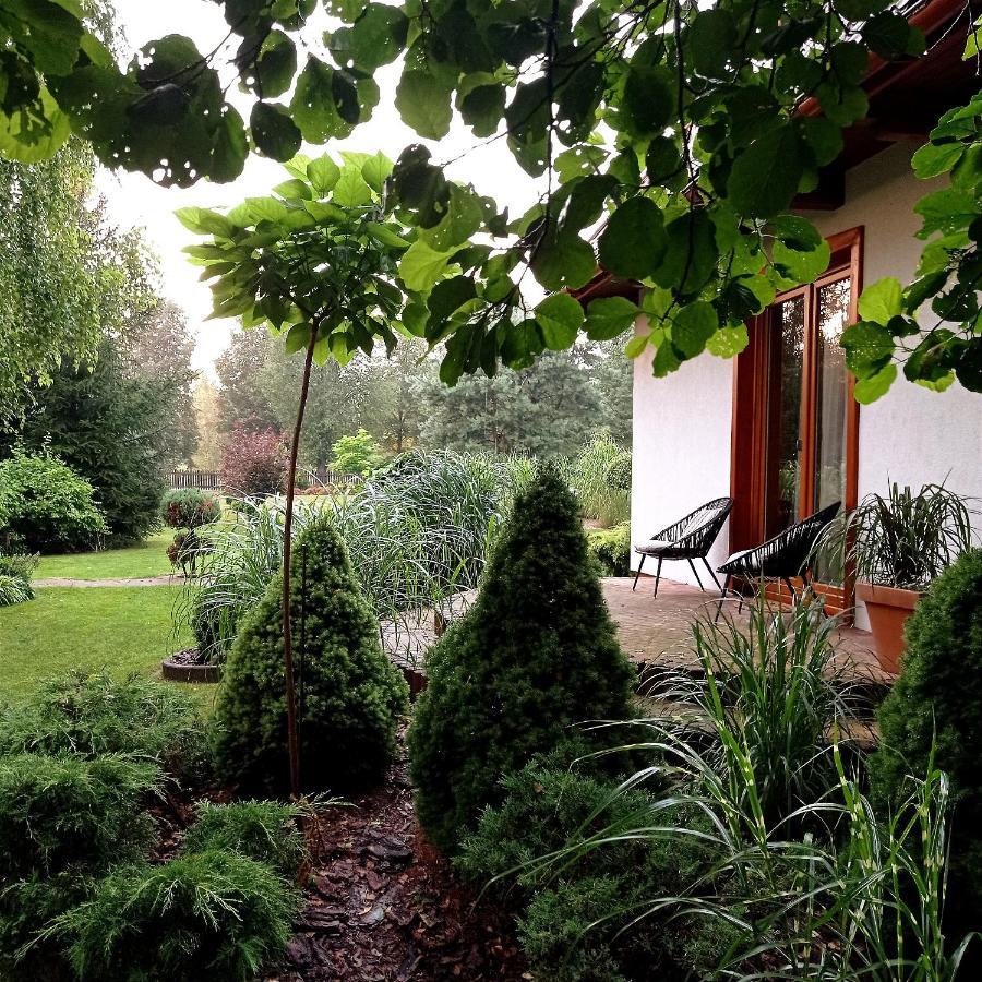Siedlisko Gruszki Villa Narewka Kültér fotó