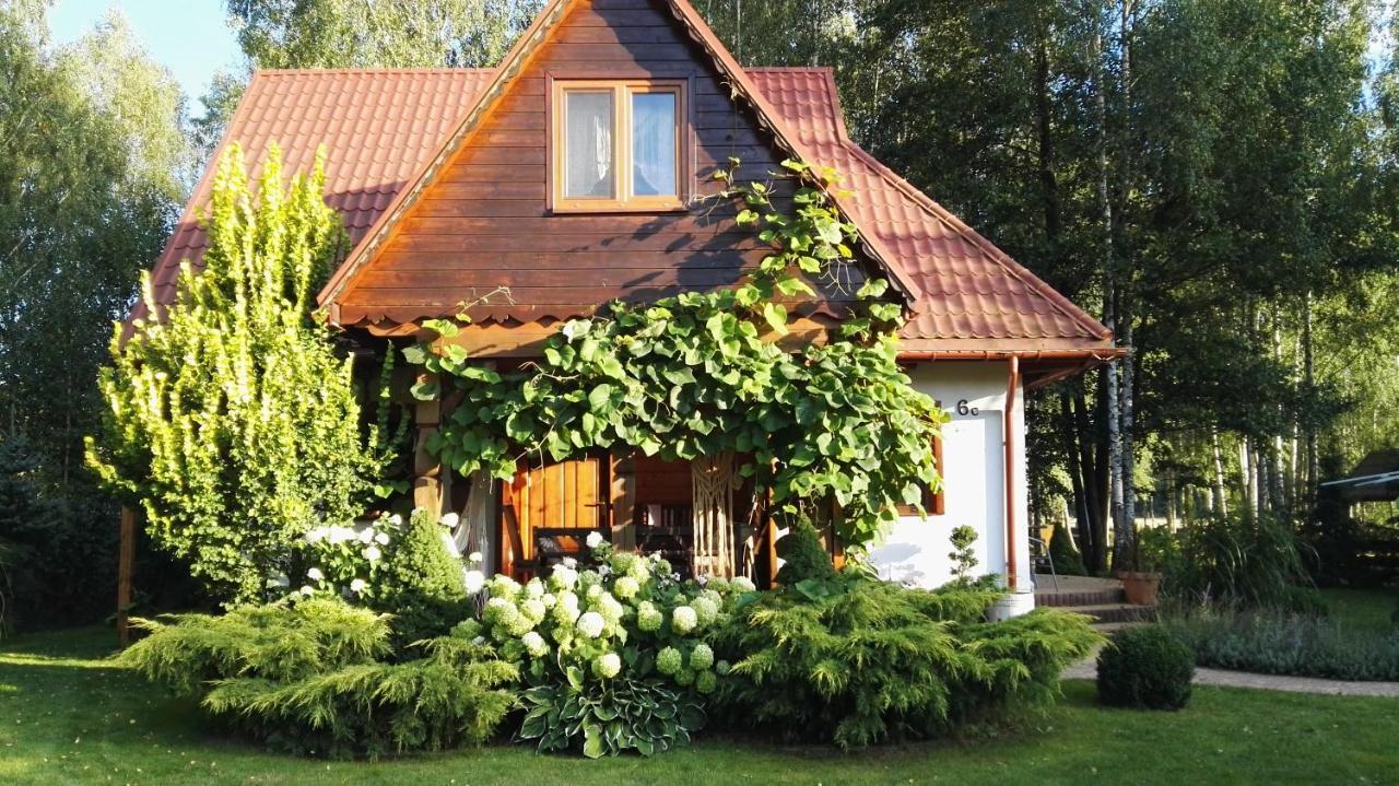 Siedlisko Gruszki Villa Narewka Kültér fotó