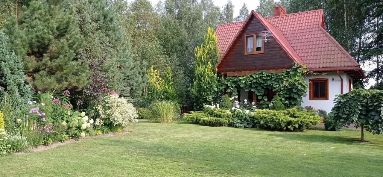 Siedlisko Gruszki Villa Narewka Kültér fotó